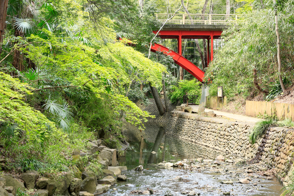 Three tranquil spots in Tokyo to rest your mind