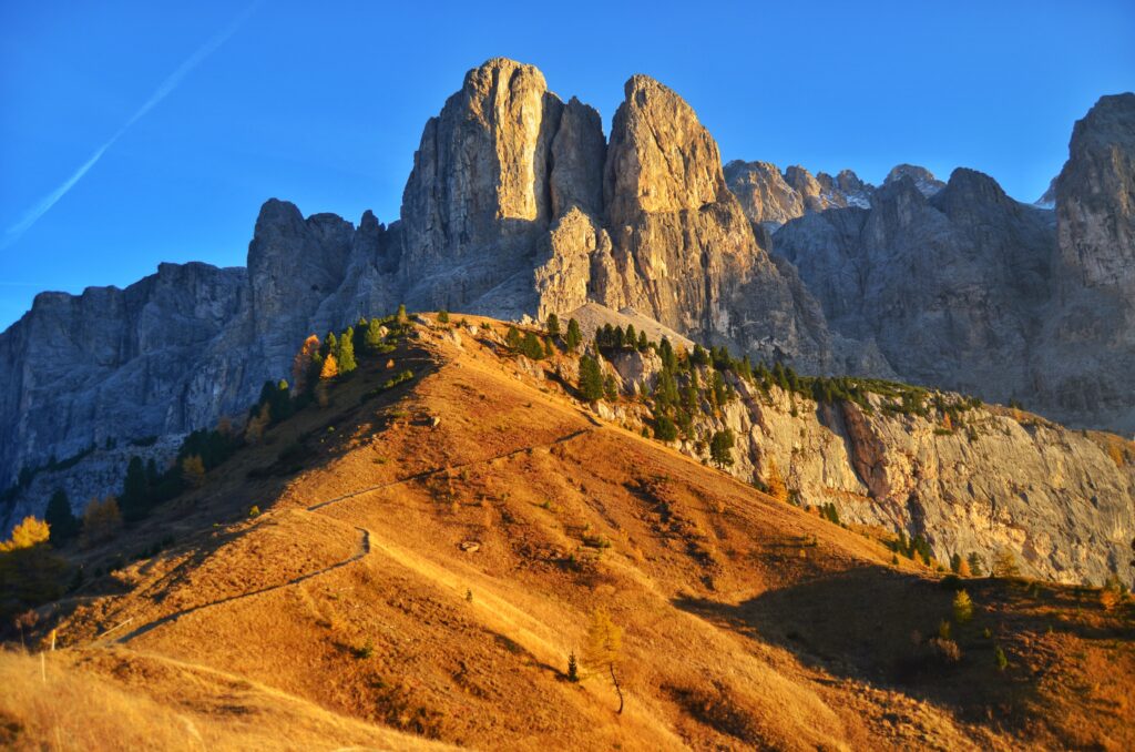 kresina nature 2911220