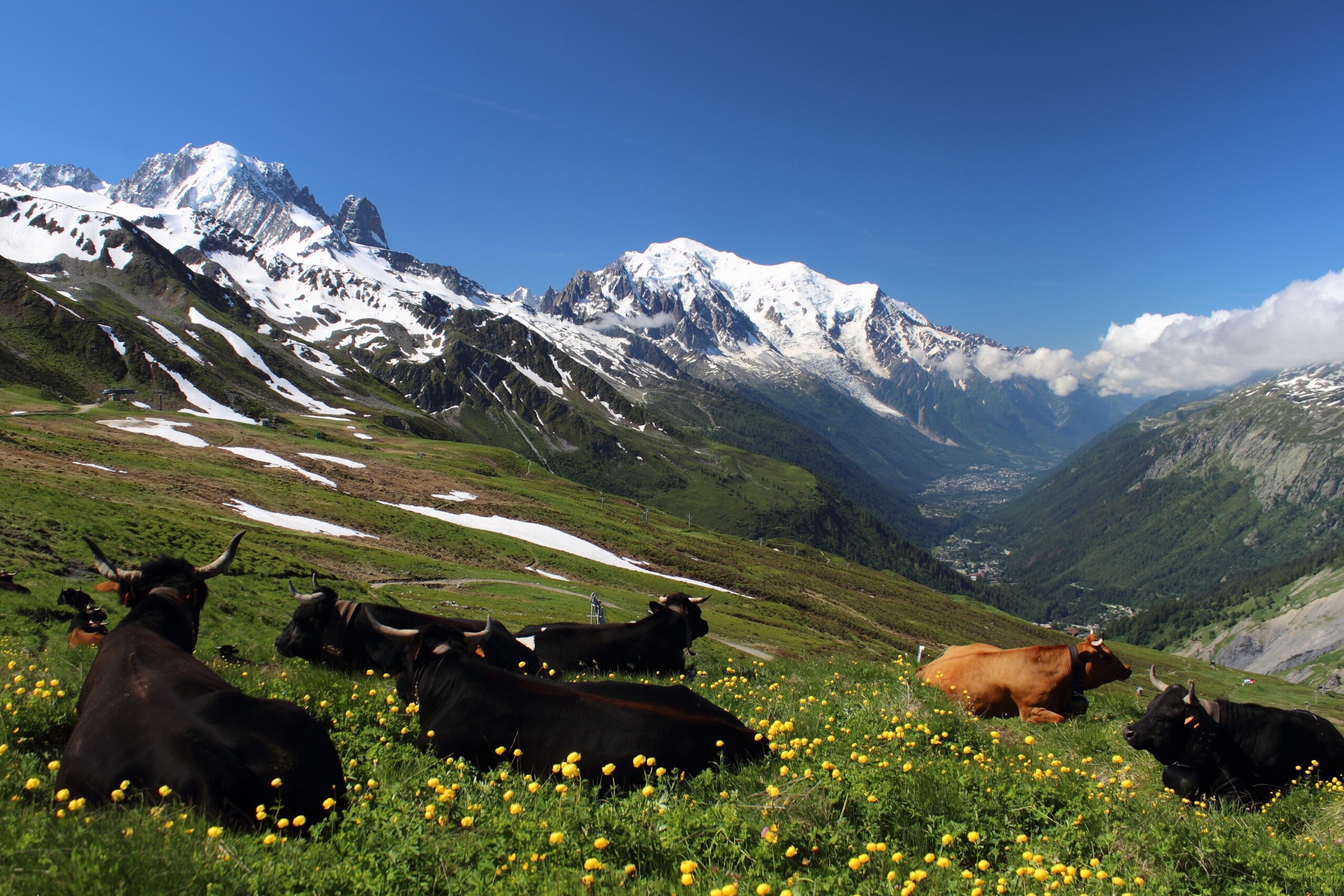 [TOP TREK] France: Private Chamonix, Mont Blanc Luxury Day Trip
