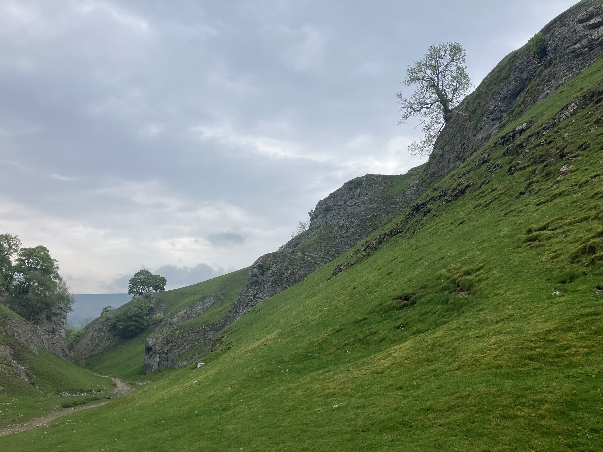 Cave Dale valley with a lone tree on the ridge, Peak District