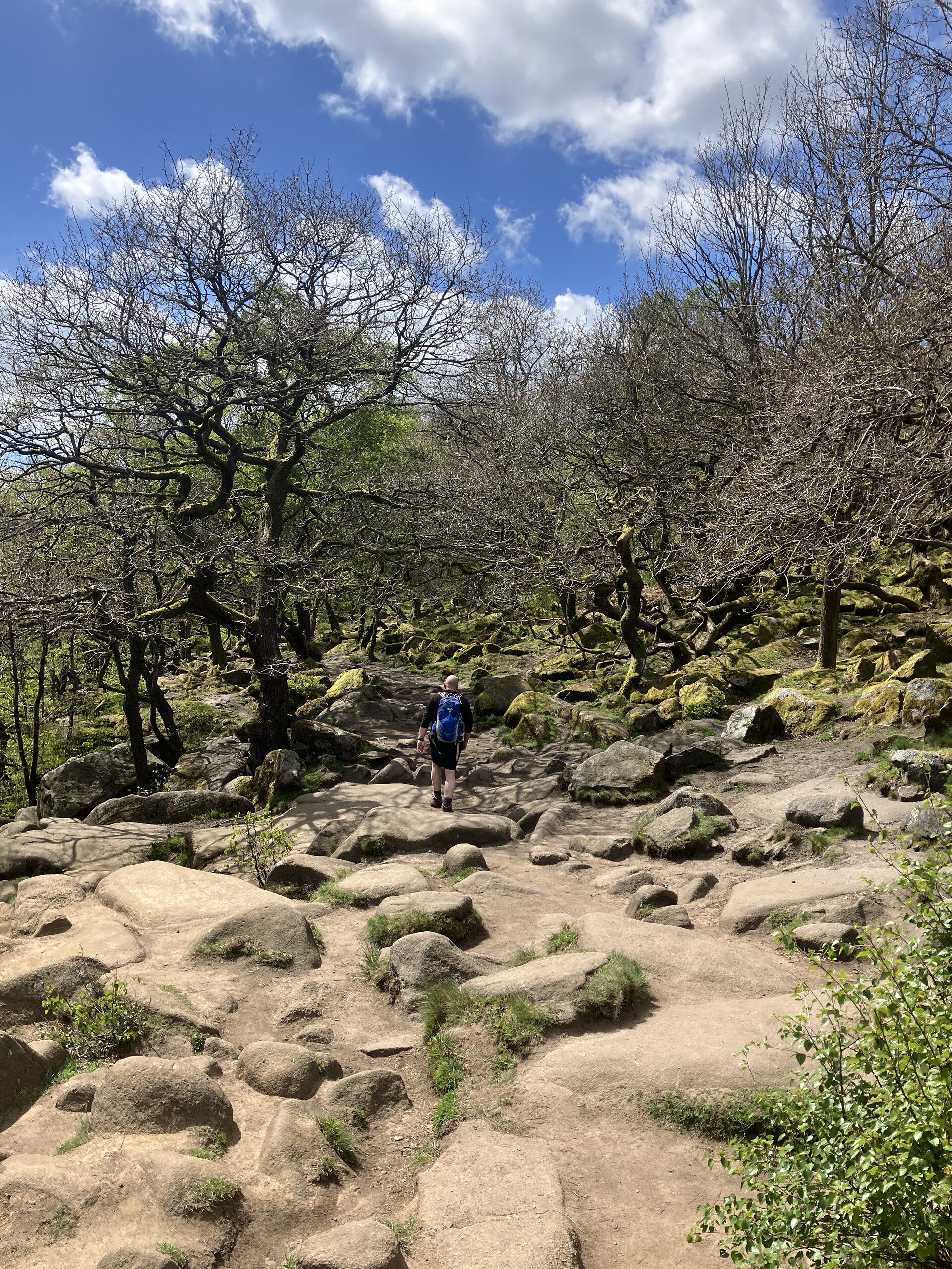 Hiker on the mossy boulder path through Padley Gorge