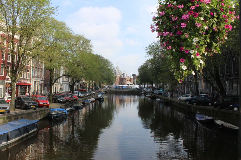 Flowering vine frames a sunny canal with distant tower