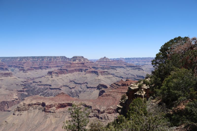 Grand Canyon on a Budget: Free Viewpoints Away From the Crowds Wide canyon vista framed by green trees under clear sky