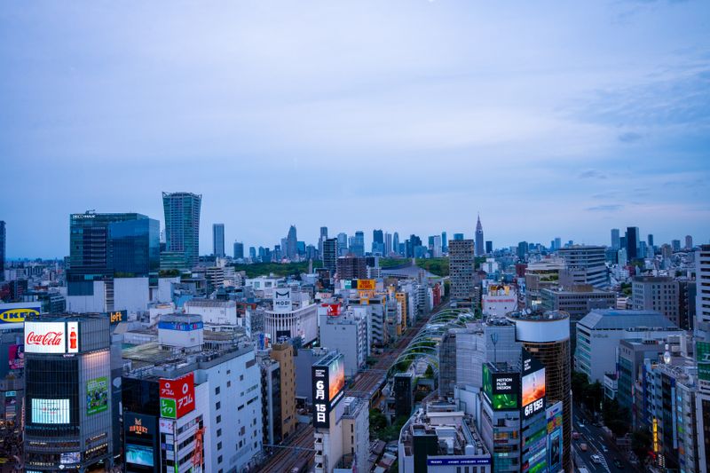 Dusk cityscape with neon signage and Shinjuku towers in distance