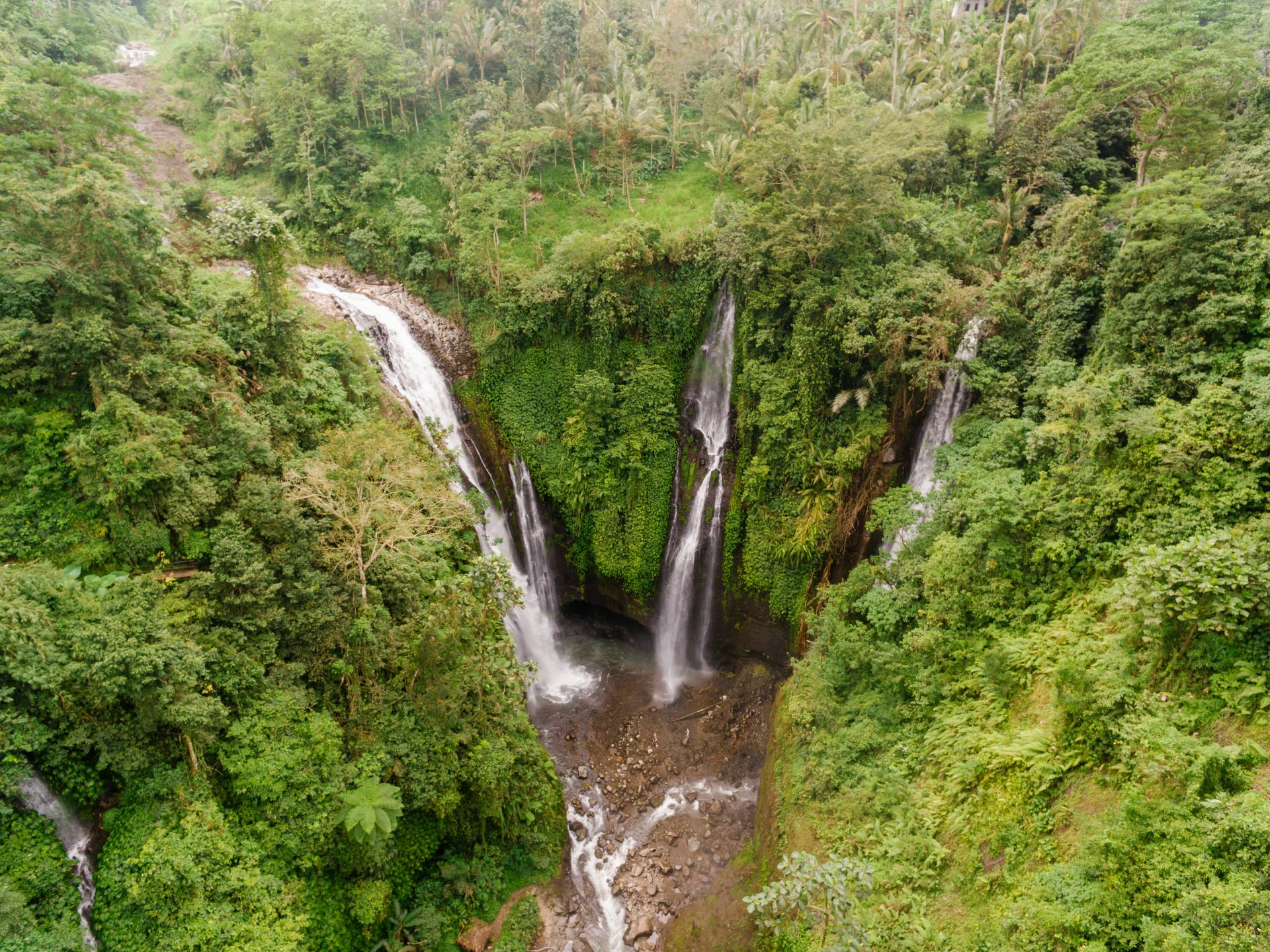 Aerial view of twin waterfalls in lush green gorge