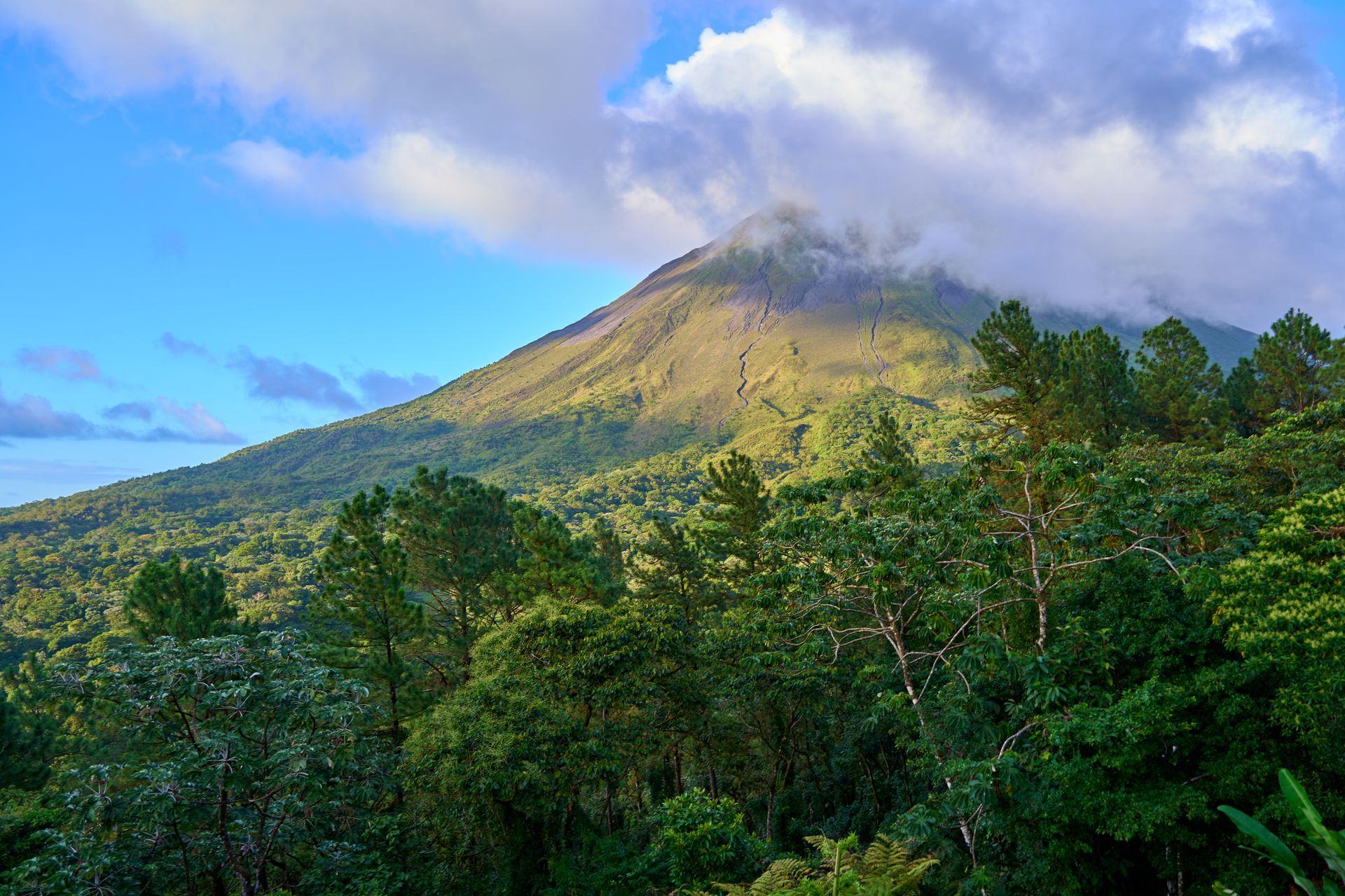 Costa Rica’s Free Waterfalls & Cheap Cloud Forest Hikes