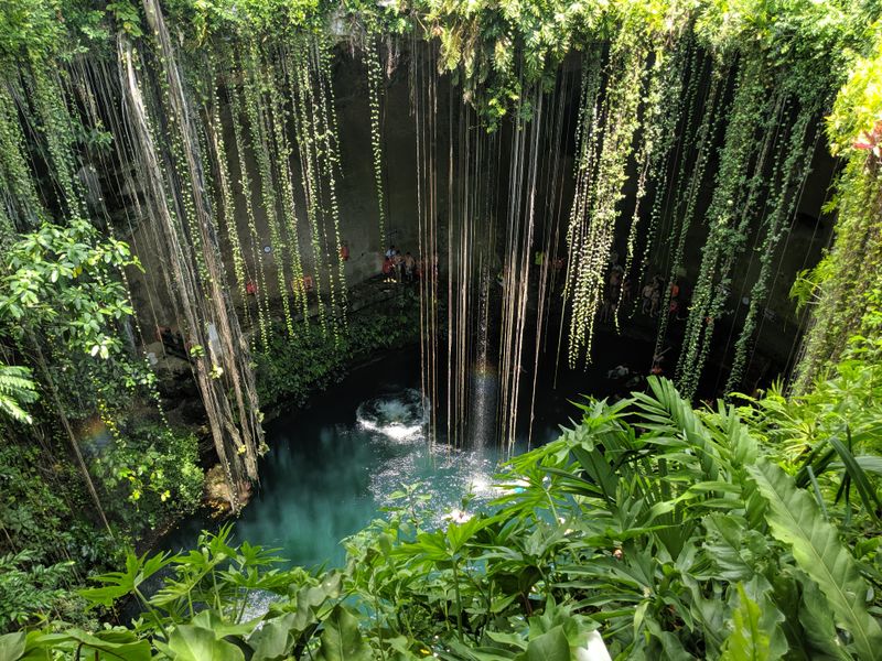 Cenote sinkhole framed by hanging vines and lush jungle