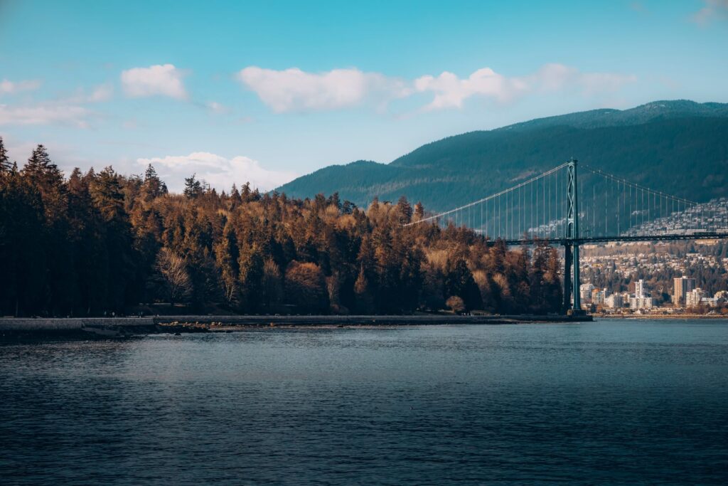 Vancouver's Free Rainforest Trails: Skip the Paid Bridges