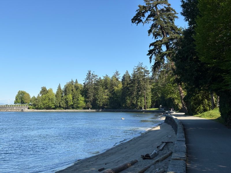 Seawall path along Stanley Park's forested waterfront on sunny day