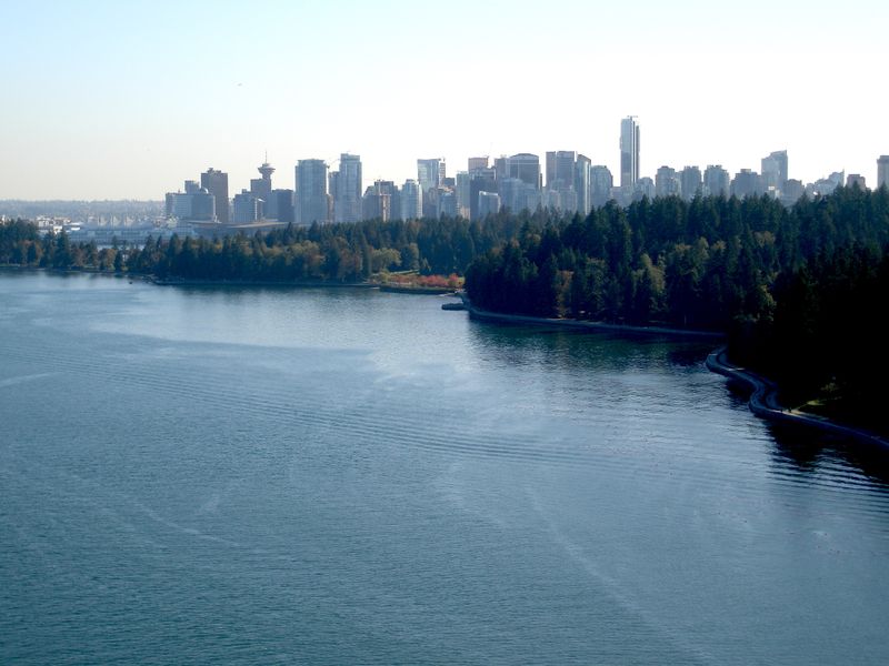 Vancouver skyline seen across water beyond Stanley Park's tree line