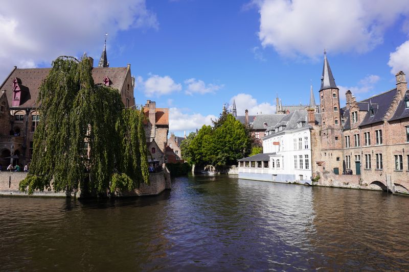 Weeping willow tree beside canal with tower and blue sky